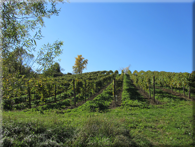 foto Paesaggi alle Pendici del Monte Grappa